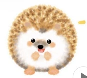 ふわふわのハリネズミ君